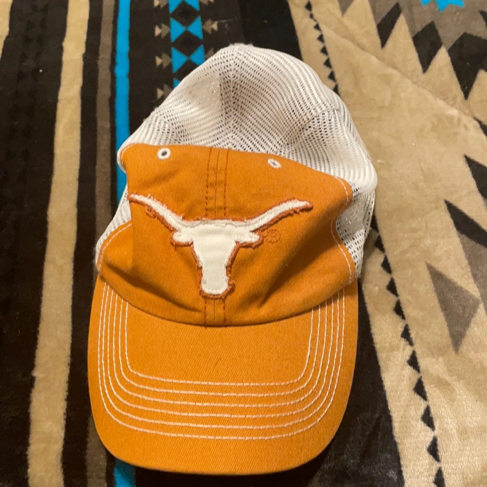 Texas longhorns
